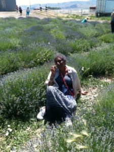 Photo of Niamo in lavender field