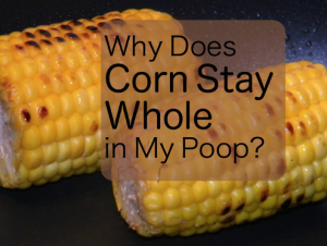 pic of corn on cob and poop question