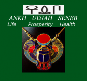 pic of ankh scarab